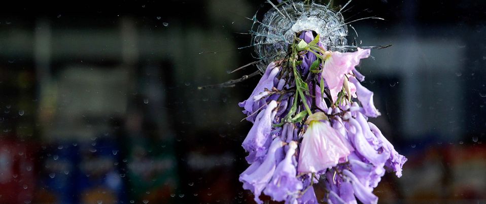 Requiem For The Dead: American Spring 2014