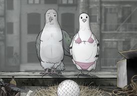Turkeys