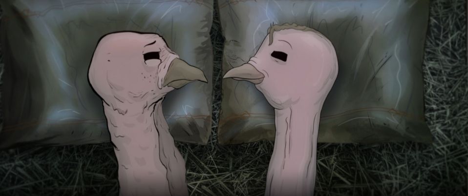 Turkeys