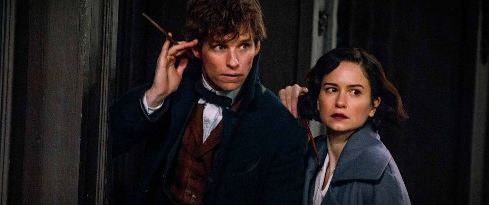 Fantastic Beasts And Where To Find Them