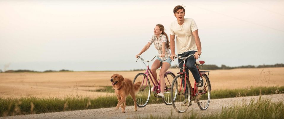 A Dog's Purpose