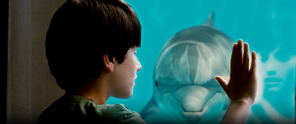 Dolphin Tale