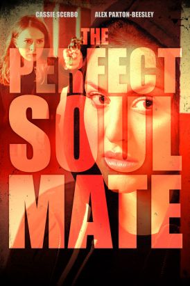 The Perfect Soulmate